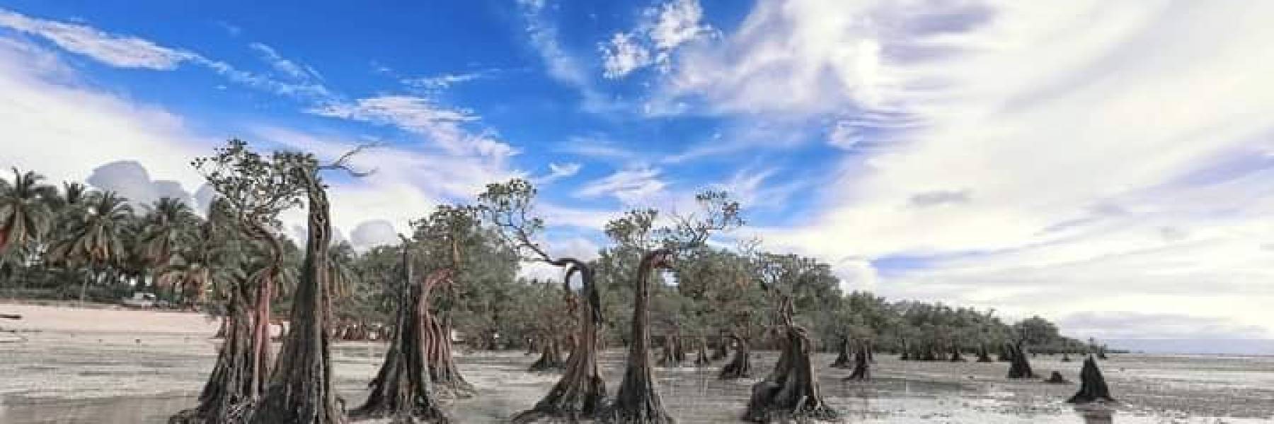 Walakiri